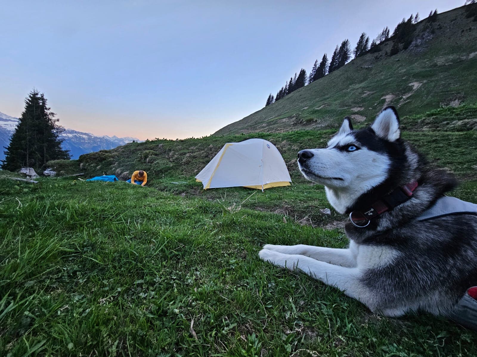 Hardergrat mit Hund: Eine Gratwanderung und eine Umkehr