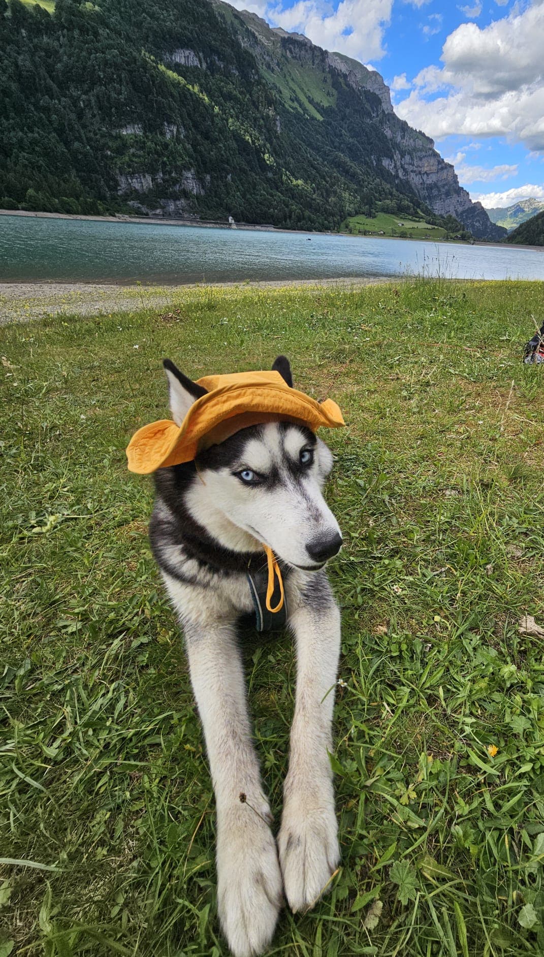 Klöntalersee BBQ mit Hund: ein Tag raus aus Zürich
