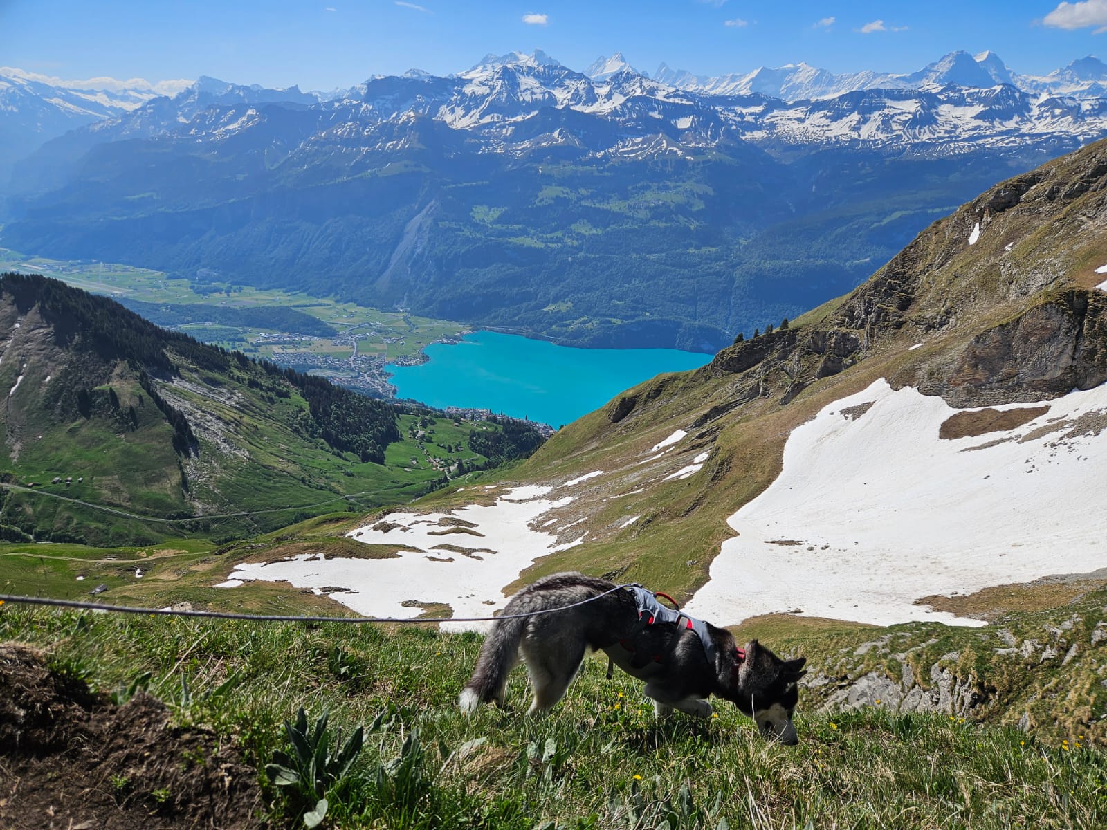 Der Grat über dem Brienzersee, an den schattigen Hängen klebt noch Schnee, der See liegt weit unten