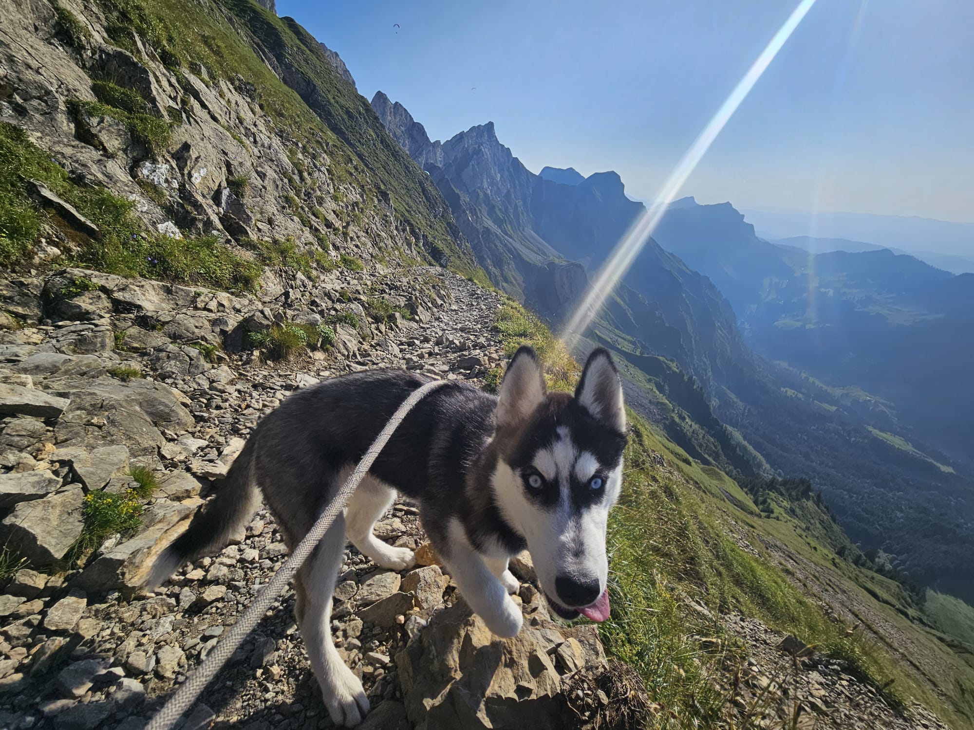Steep mountain trail from Fräkmüntegg toward Klimsenhorn, open grassy slopes and rock faces above Lake Lucerne
