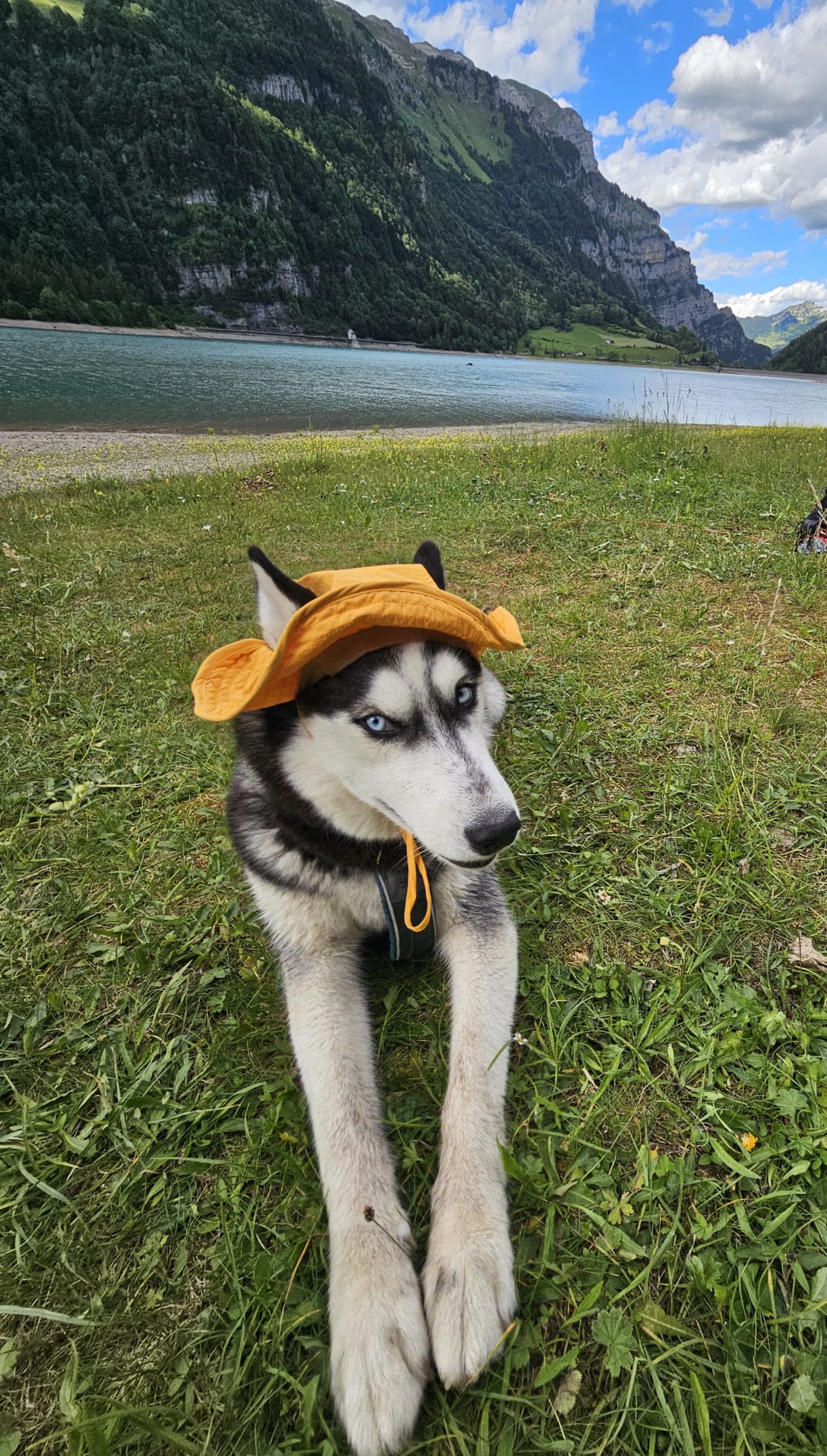 Klöntalersee BBQ mit Hund: ein Tag raus aus Zürich